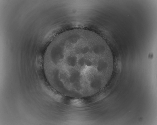X0000111440511200907131309