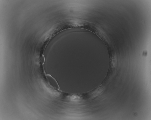 X0000111440512200907131309