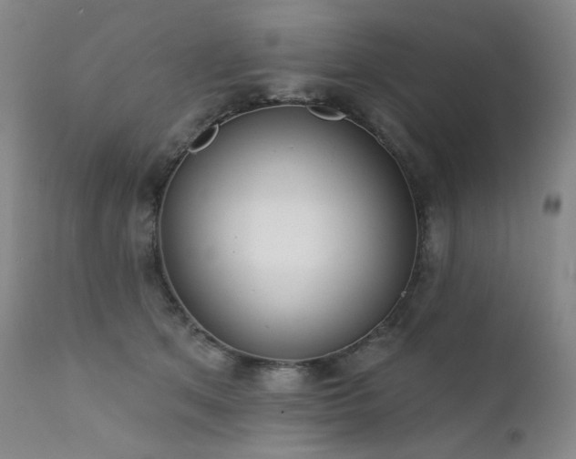 X0000111440513200907131308