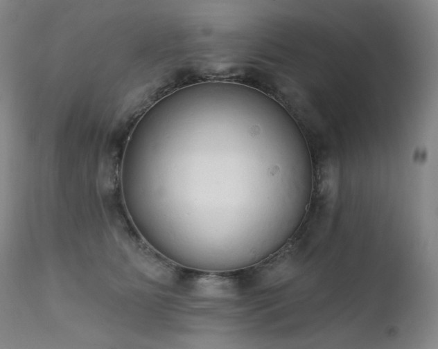 X0000111440515200907131308
