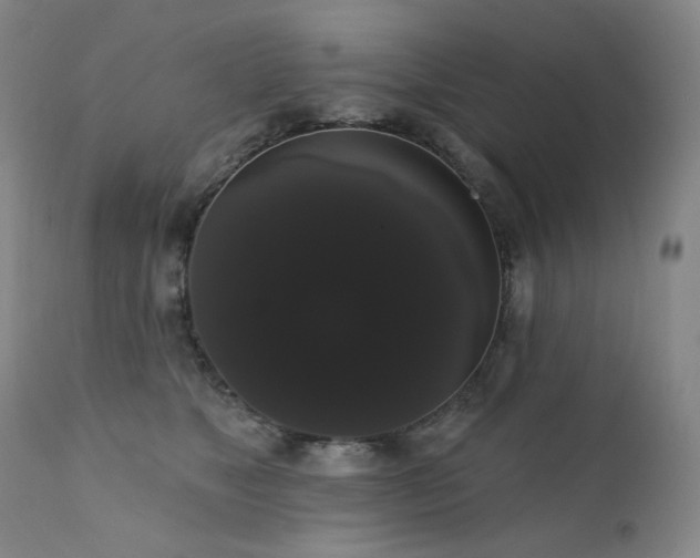 X0000111440517200907131308
