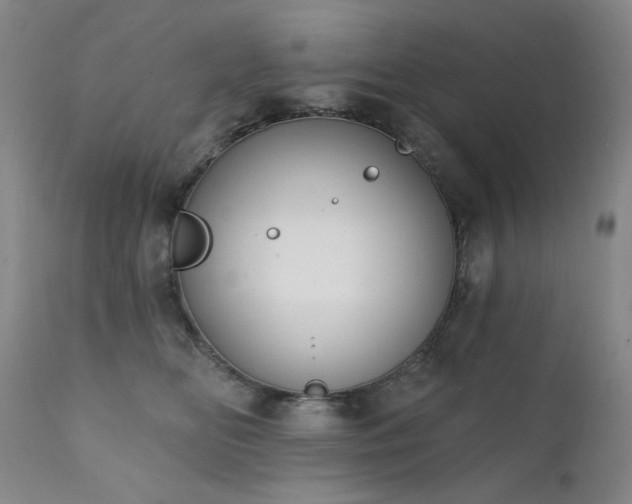 X0000111440518200907131308