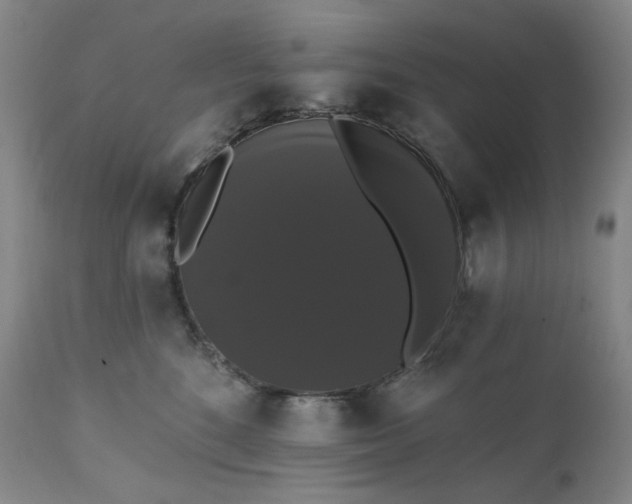 X0000111440520200907131308
