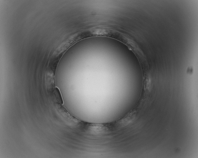 X0000111440521200907131308