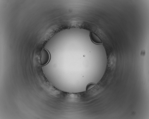 X0000111440522200907131308