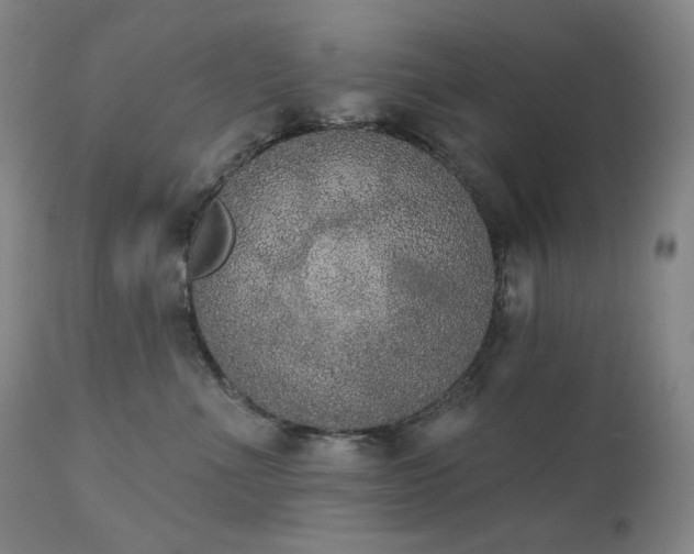 X0000111440523200907131308