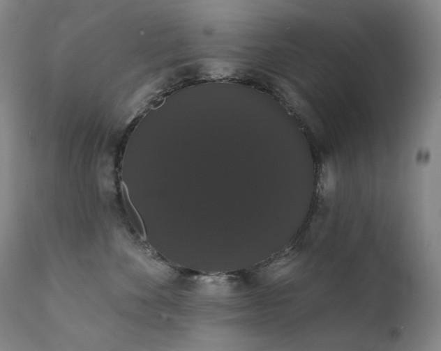 X0000111440524200907131308