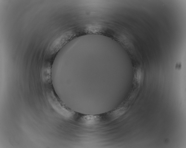X0000111440526200907131308