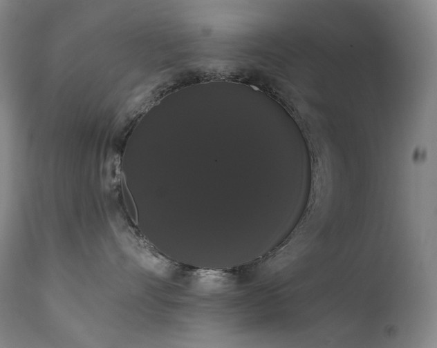 X0000111440528200907131308