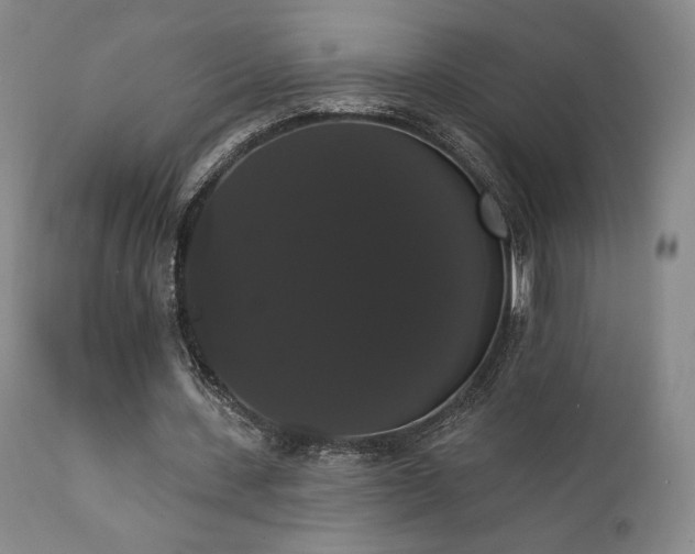 X0000111440531200907131308