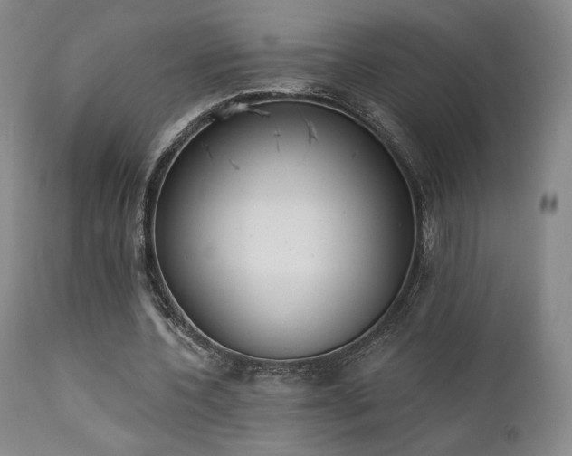 X0000111440532200907131308