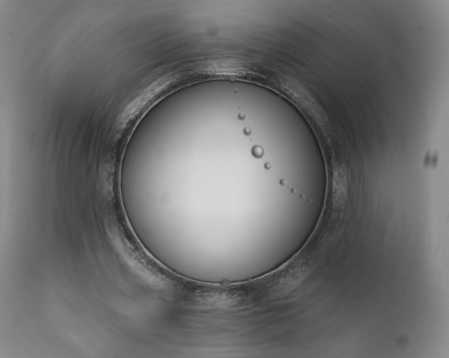 X0000111440533200907131308