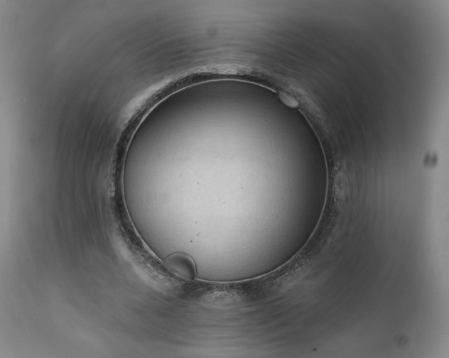X0000111440536200907131308