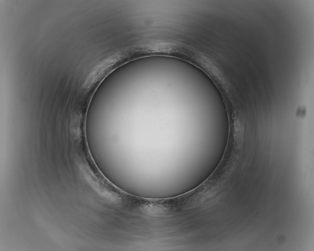 X0000111440537200907131308