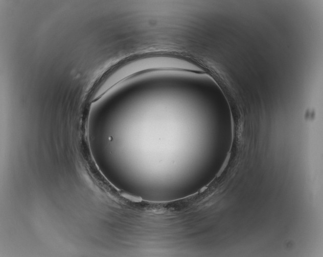 X0000111440540200907131308