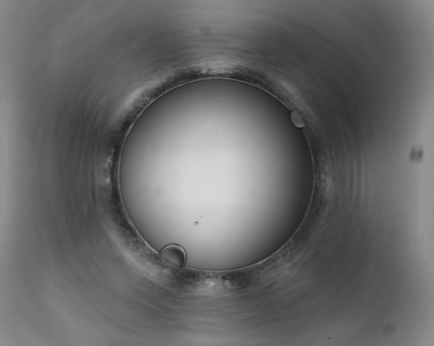 X0000111440543200907131308