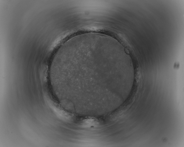 X0000111440544200907131308