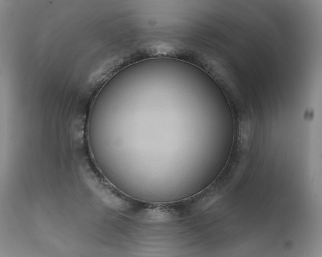 X0000111440545200907131308
