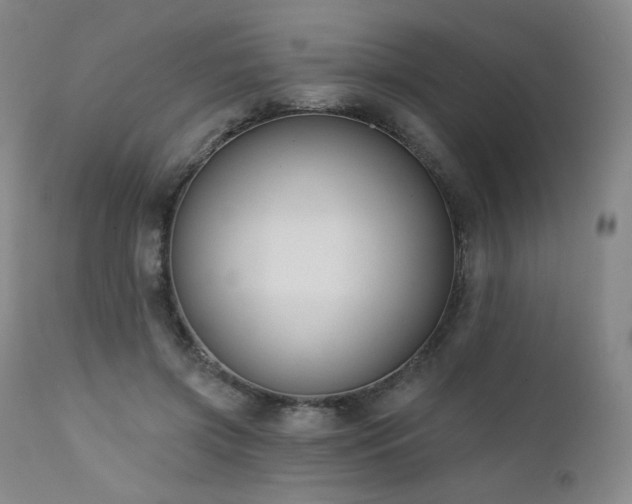 X0000111440549200907131308