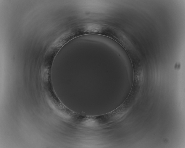X0000111440551200907131308