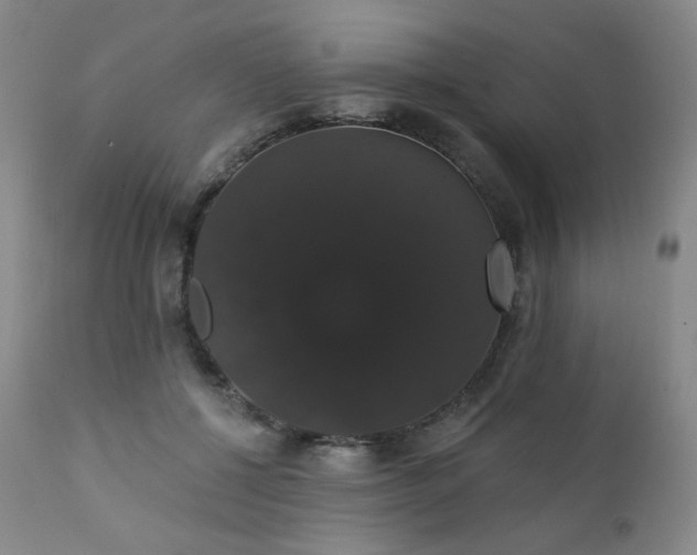 X0000111440552200907131308