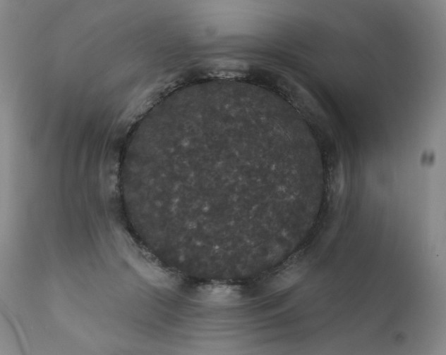 X0000111440553200907131308