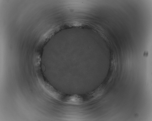 X0000111440555200907131308