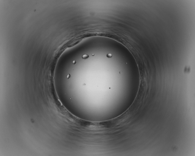 X0000111440556200907131308