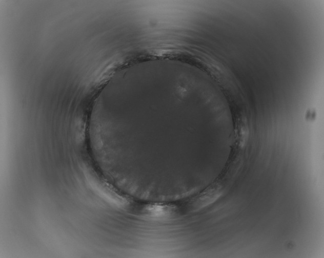 X0000111440558200907131308