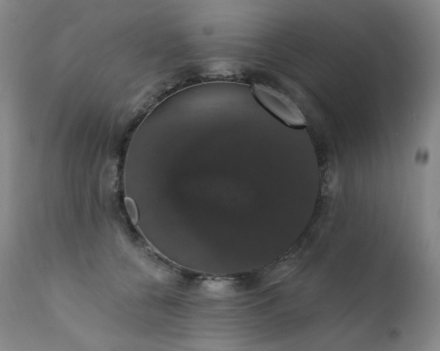 X0000111440560200907131308