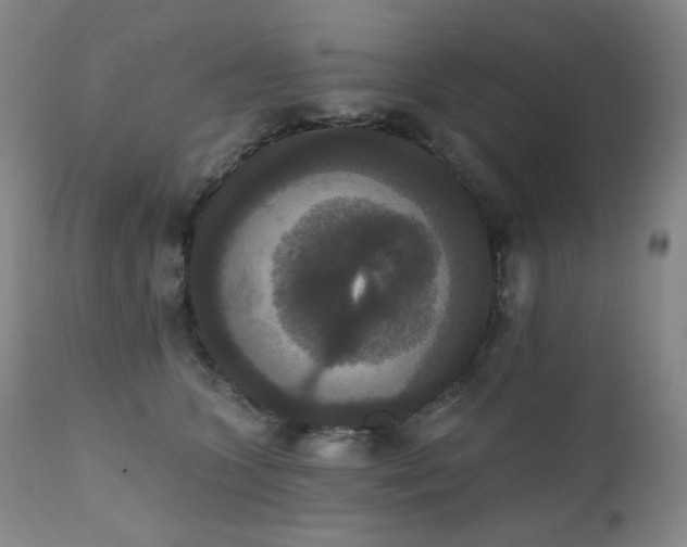 X0000111440563200907131308