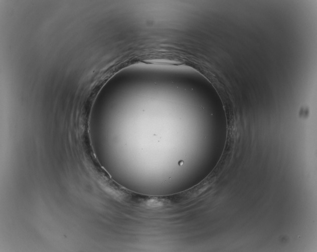 X0000111440566200907131308