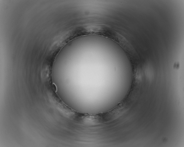 X0000111440567200907131308