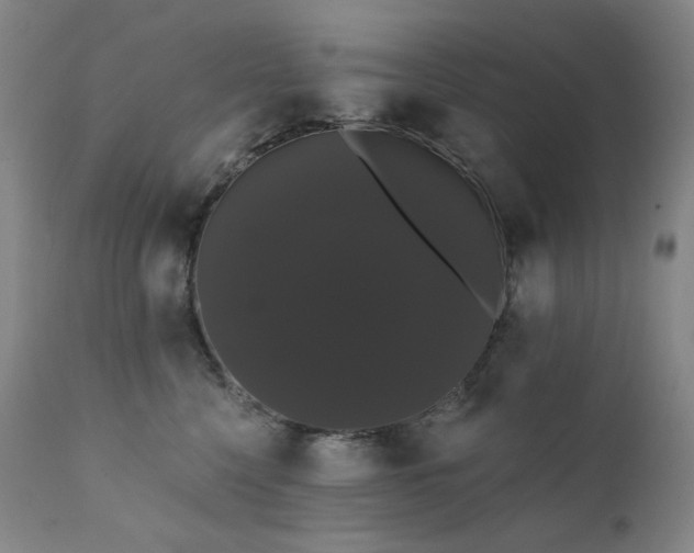 X0000111440568200907131308