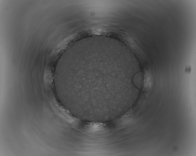 X0000111440569200907131308