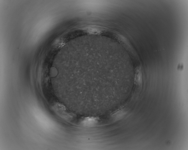 X0000111440573200907131308