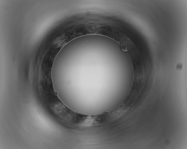 X0000111440574200907131308