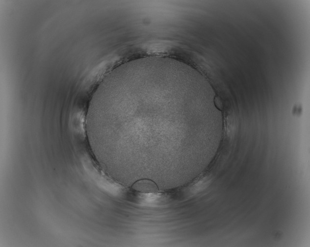 X0000111440575200907131308