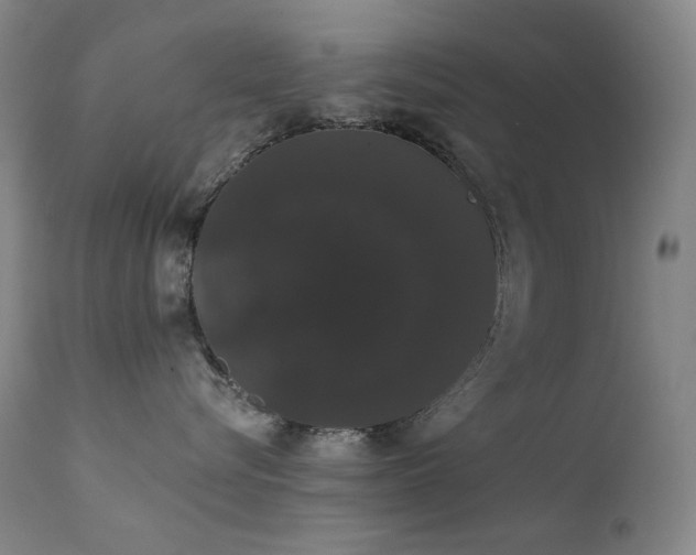 X0000111440576200907131308