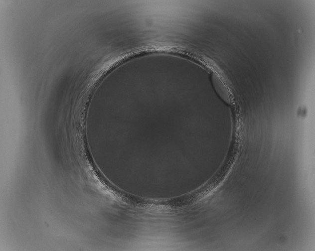 X0000111440577200907131308