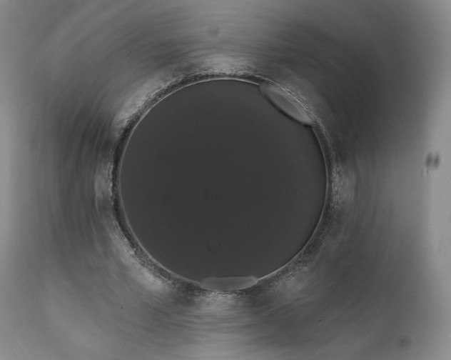 X0000111440581200907131308