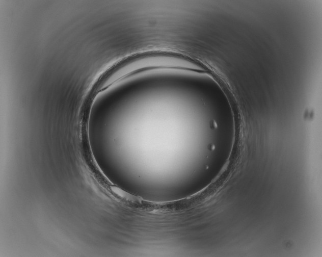 X0000111440584200907131308