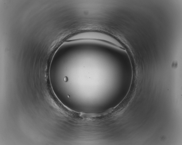 X0000111440585200907131308