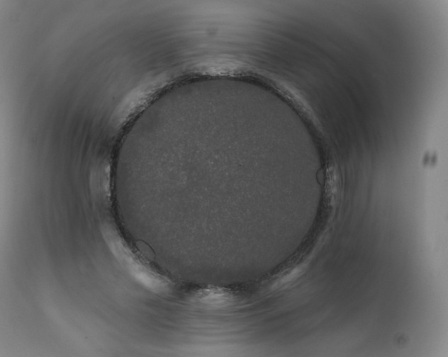 X0000111440589200907131307
