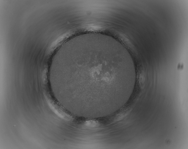 X0000111440591200907131307