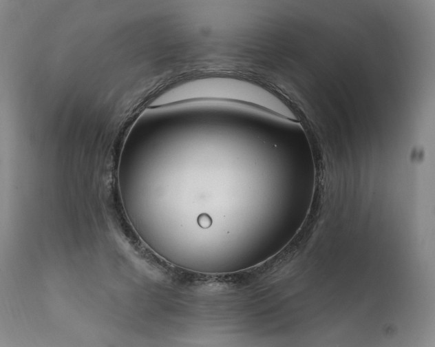 X0000111440593200907131307