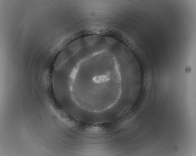 X0000111440594200907131307