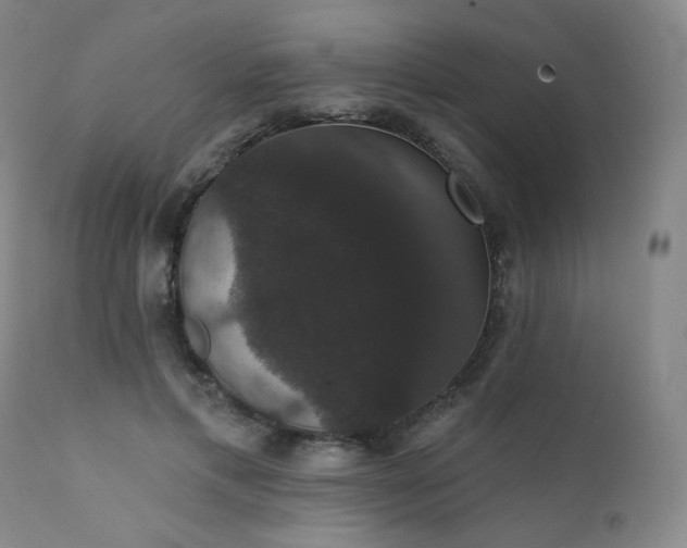 X0000111440597200907131307
