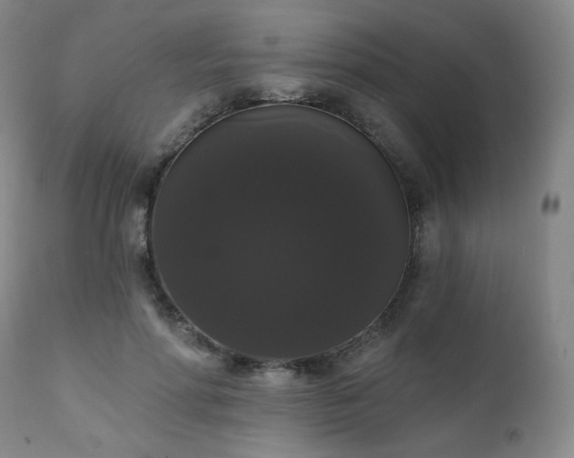 X0000111440598200907131307