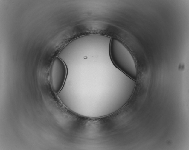 X0000111440599200907131307